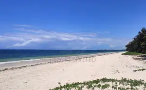 Beach Plot First-Row 1 Acre