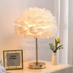 LED Modern Feather Light