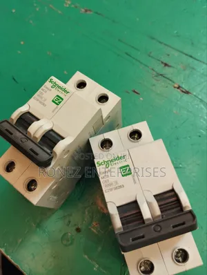 Double Pole 63 Amps.Schnider
