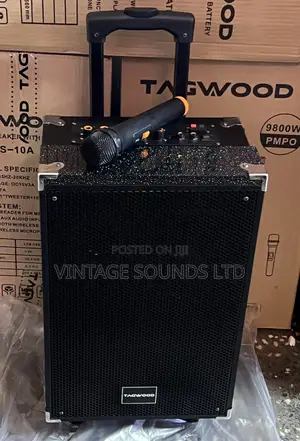 TAGWOOD LTS 10A -10 INCH Portable Powered Speaker (9800pmpw)