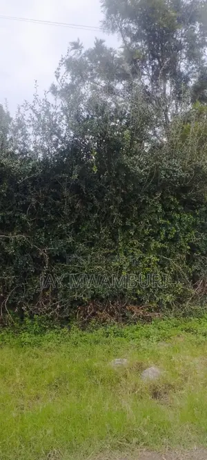 20.8 Acre Land in Mua Hills