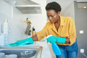 Satisfying House Cleaning Services
