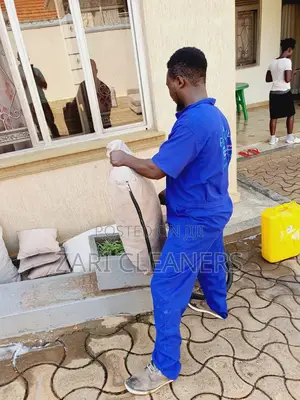 Regular Sofa Set Cleaning