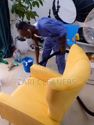 Premium Sofa Cleaners Around