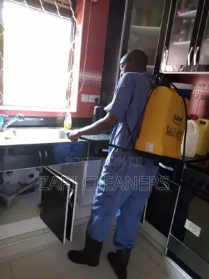 Better Fumigation Services on Bedbugs and Other Pests