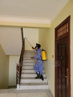 Solid Fumigation Against Cockroaches and Bedbugs