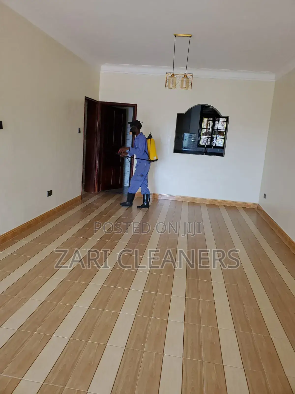 Bedbugs Removal/ Superior Knock Down