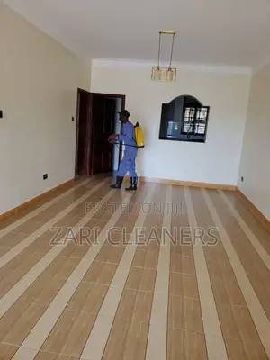 Bedbugs Removal/ Superior Knock Down