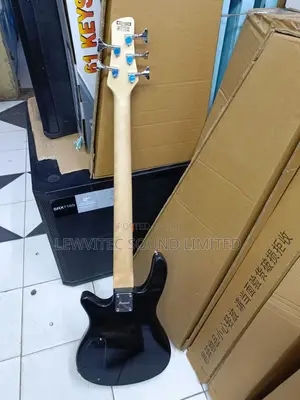 Bass Guitar 5 Strings