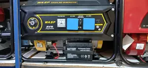 5.5 Kva Wasp Petrol Generator With Avr