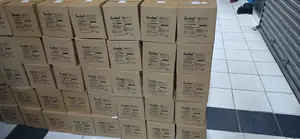 Original Gaston 40 Ah Solar Backup Battery