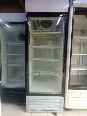Display Fridge 650L