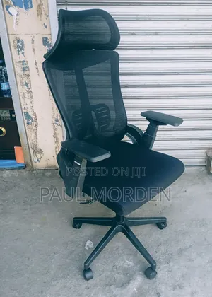 Office Orthopedic Chair