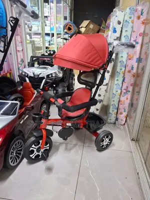 Tricycle With Push Handle, Canopy