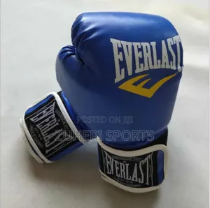 Everlast Boxing Gloves Quality Product