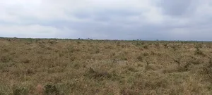 100 Acres of Land for Sale at Malaa