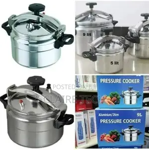 2 Handle Pressure Cooker Non Explosive Blue Carton