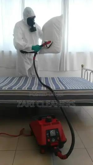 Stain Removal on Mattress