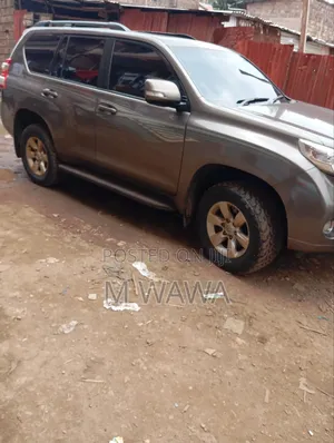 Prados for Hire