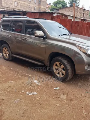 Prados for Hire