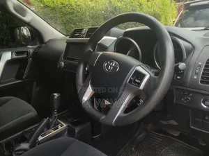 Prados for Hire