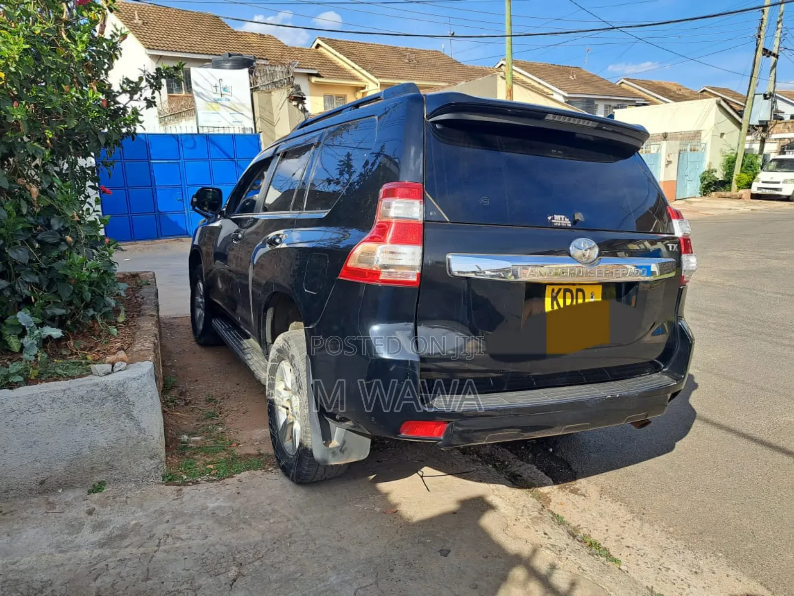 Prados for Hire
