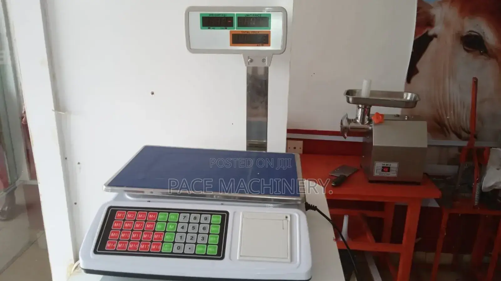 Digital Scale Repair Precise Calibration Services (All Types)