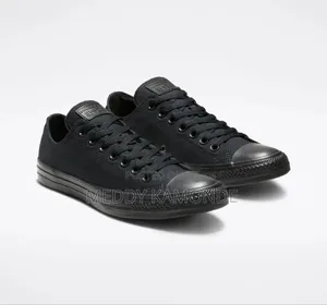 Designer Canvas Shoes
