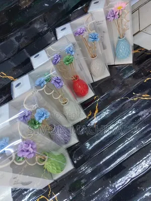 Reed Diffuser/ Decorative Flower Vase