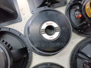 Derwel 8AH6 8 Inch Naked Speaker