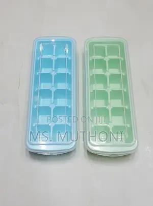 2 Ice Cube Trays