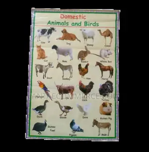 Domestic Animal And Birds Wall Chart