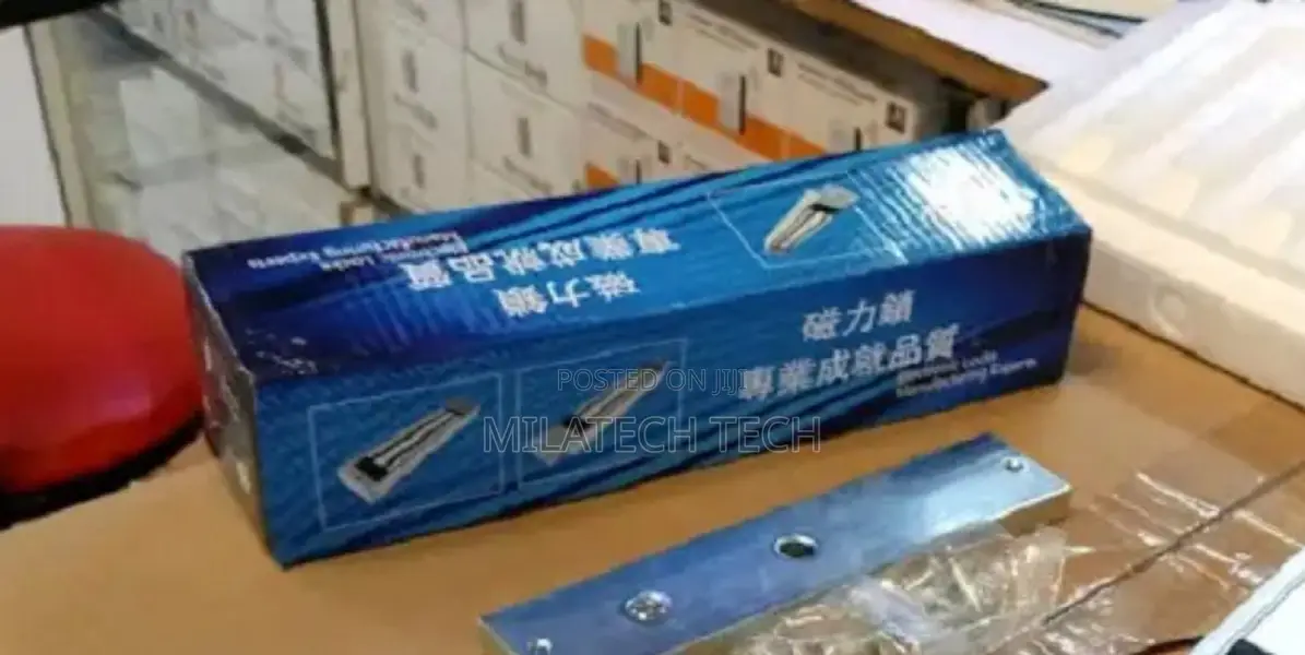 Original Maglock Magnetic Lock