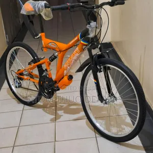 Orange Classic Adult Size 24 Bike.