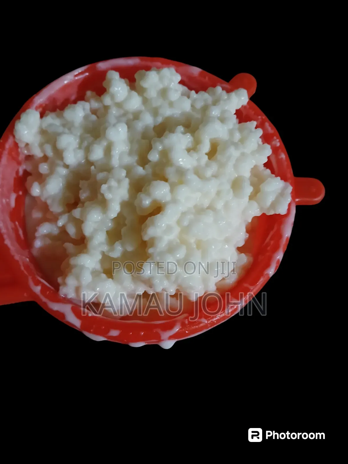 Kefir Grain