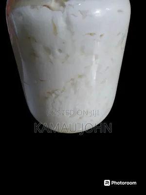 Kefir Grain