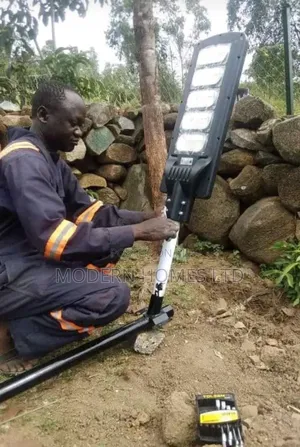 Solar Street Lights: Sustainable Rural Urban Illumination