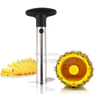 Kitchen Pineapple Corer
