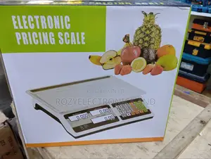 Electronic Pricing Scale/Digital Scale