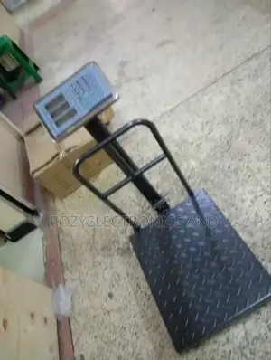 Most Accurate Digital Scale 300kg