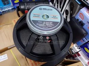 Omax T15-Mb300 15 Inch Naked Speaker