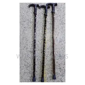 Walking Stick Walking Stick