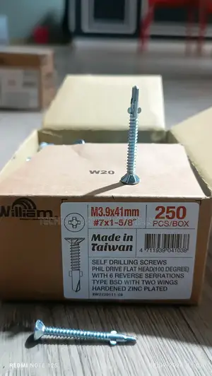 Self Drilling Screws (3.9x32mm)