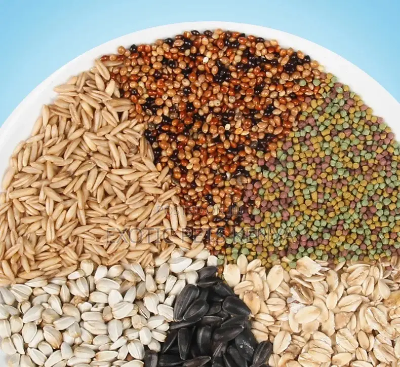 Parrot Feed