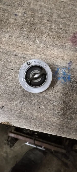 Nissan Vannete Thermostat