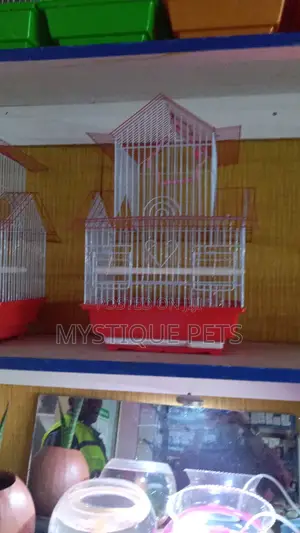 Birds Cages