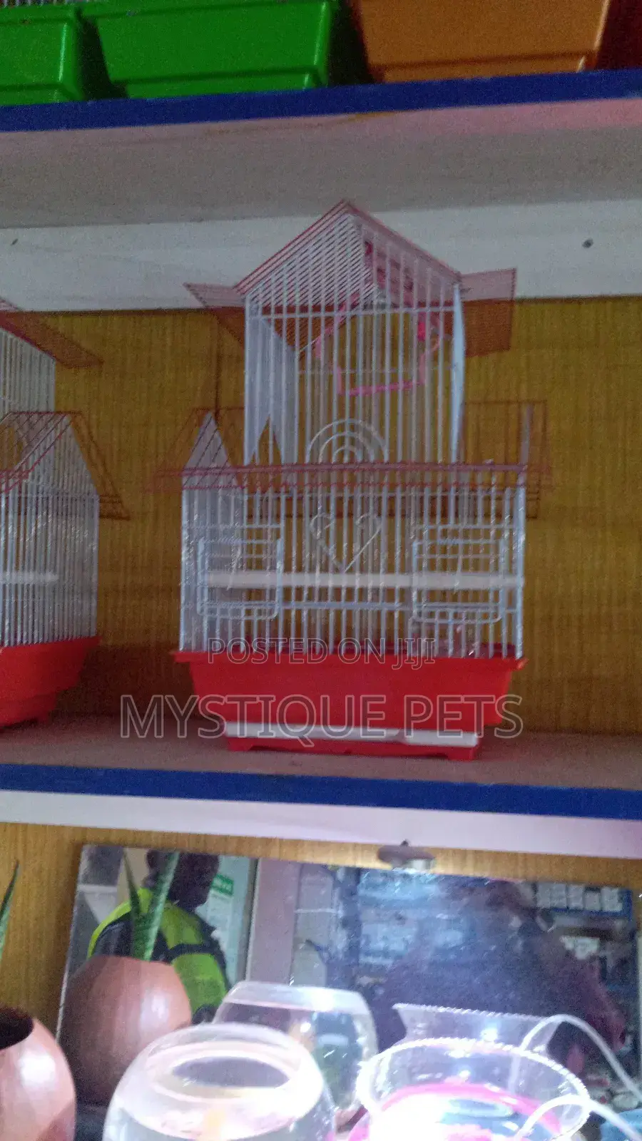 Birds Cages