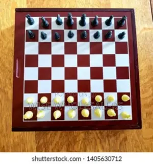 Brains Chess Board Game Magnetic Foldable