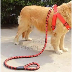 *Dog Leash / Harness With Collar*