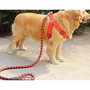 *Dog Leash /